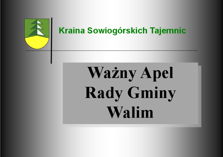 Rada Gminy Walim walczy o poprawienie stanu nawierzchni drogi wojewódzkiej nr 383