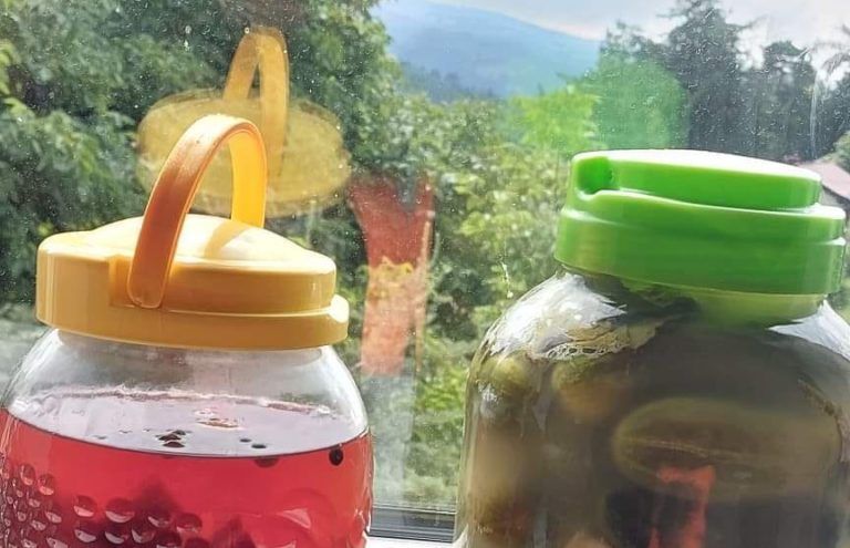 Dobroczynne przetwory   Odporność zaczyna się od jelit
