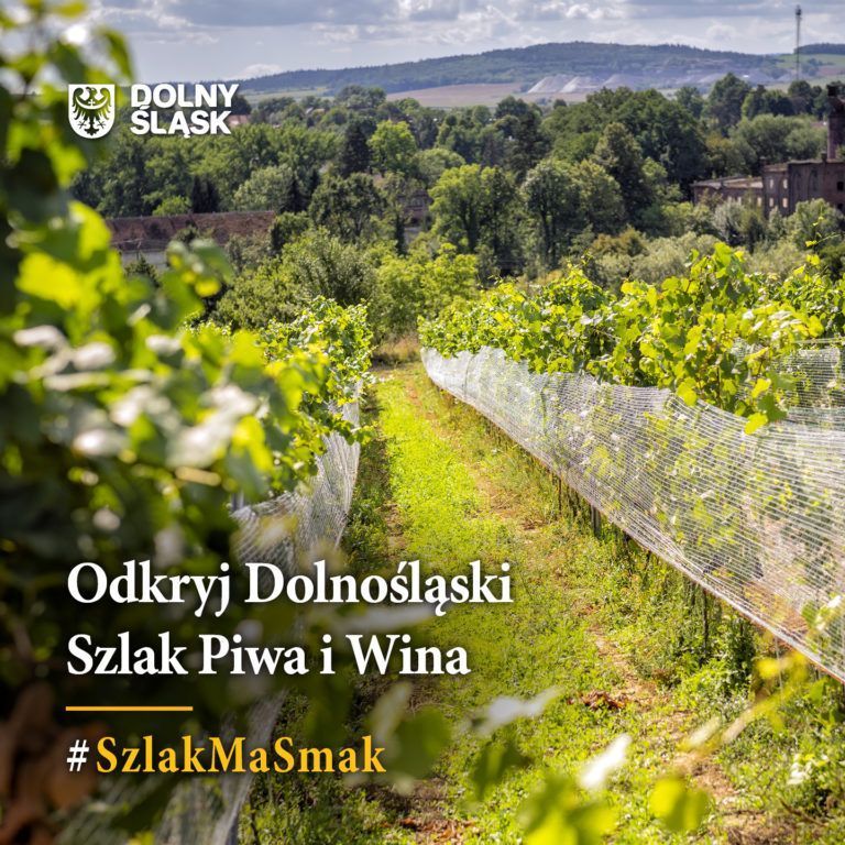 BLOGERZY NA DOLNY ŚLĄSK!