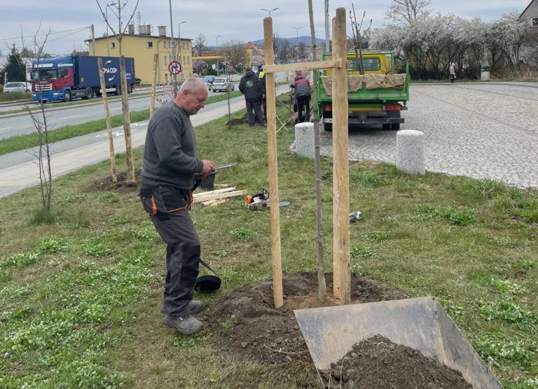 Wałbrzych pierwszym miastem w Polsce z Planem Działania Zielonego Miasta
