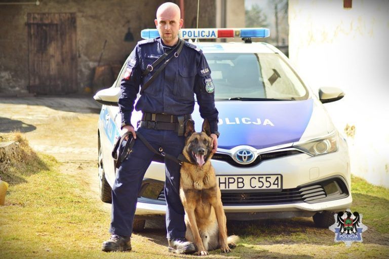 Pikap – czyli wałbrzyski Komisarz Alex