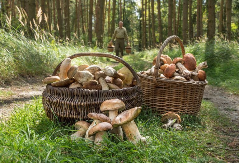 „Dolny Śląsk – nie do opowiedzenia, do zobaczenia!”