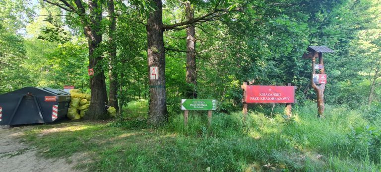 Posprzątali Park Książański