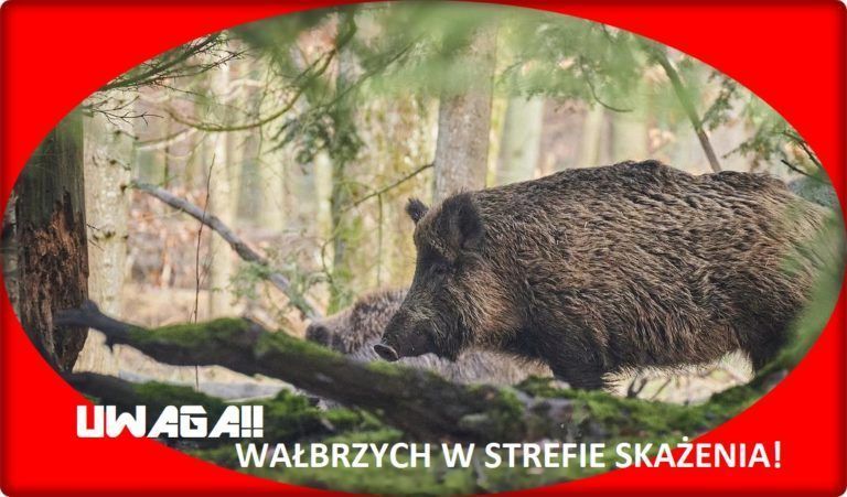 Wałbrzych w strefie skażenia!!
