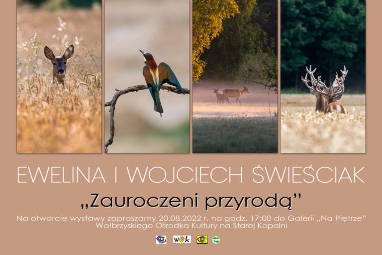 Do świata dzikiej natury zapraszają Ewelina i Wojciech Świeściak