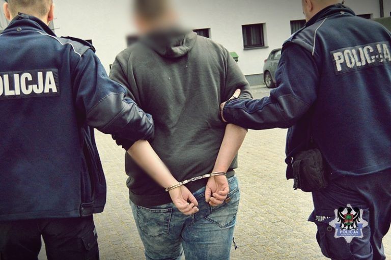 Ma dopiero 17 lat, a już sporą policyjną kartotekę