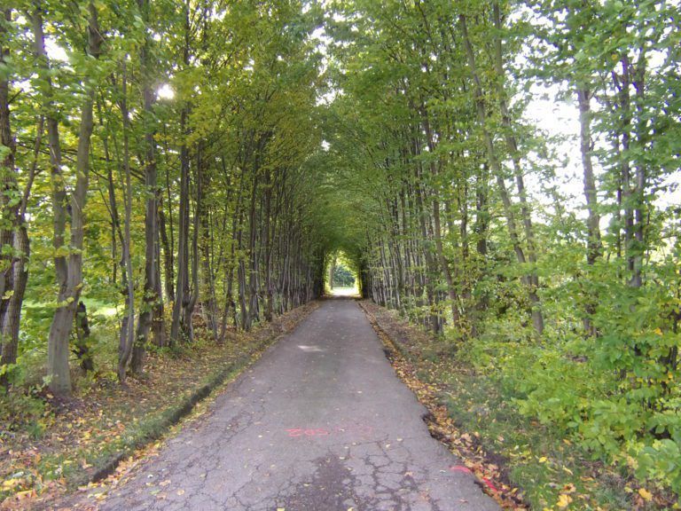 Parking i lepszy dojazd do cmentarza