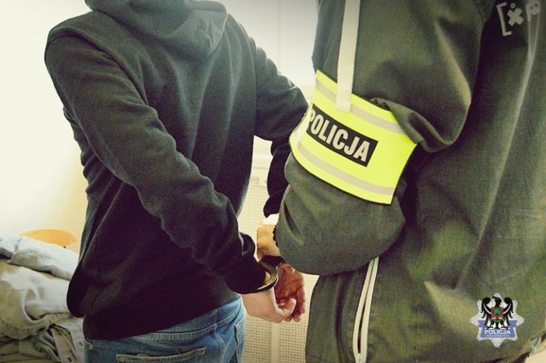 Złodziej w rękach policji