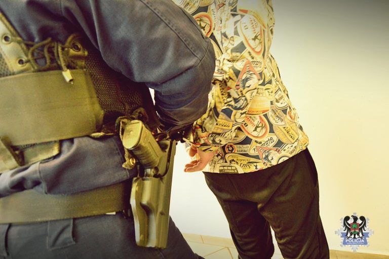 Nastoletni złodzieje w rękach policji