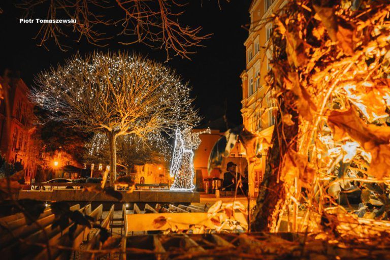 „Świątecznie w Świdnicy” – wybrano najpiękniejsze fotografie