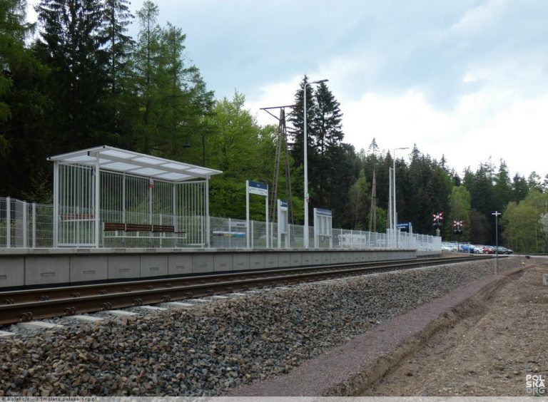 Przystanek „Dzikowiec” na finiszu
